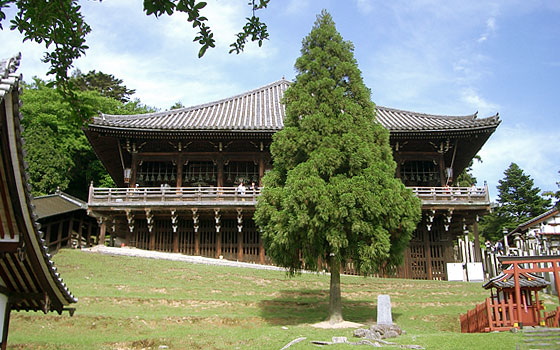 06nigatsudo.jpg 06nigatsudo.jpg
