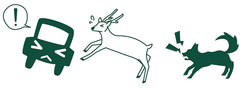 t2_001.png t2_001.png